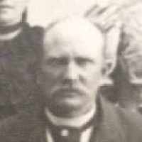 Alphonzo Pierce McMullin (1849 - 1924) Profile